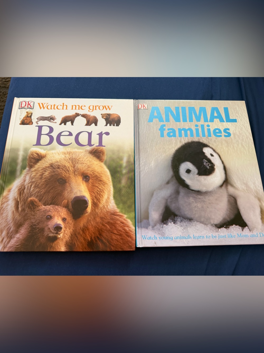 DK Children’s Animal Books Bear & Animal Families